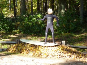 Scarecrow Surfer